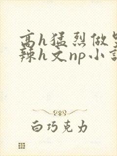 高h猛烈做哭高辣h文np小说