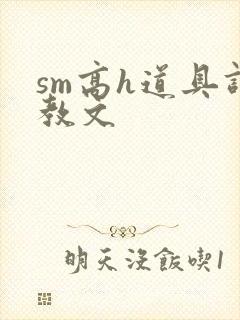 sm高h道具调教文封面