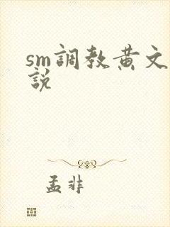 sm调教黄文小说