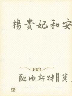 杨贵妃和安禄山封面