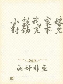 小说我家娘子不对劲完本免费阅读