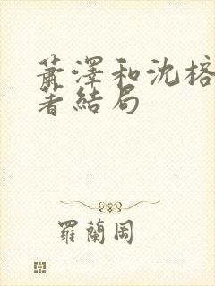 萧泽和沈榕宁原著结局