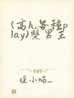 (高h,各种play)双男主