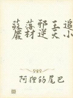 苏落邪王追妻:废材逆天小姐