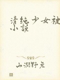 清纯少女被调教小说封面