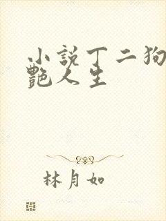 小说丁二狗的猎艳人生