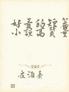 好看的短篇言情小说高质量文笔好