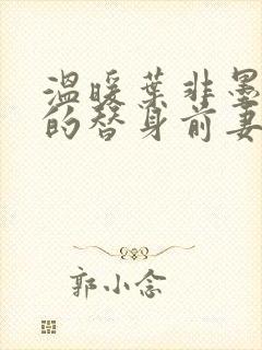 温暖叶非墨总裁的替身前妻