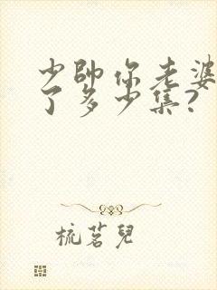 少帅你老婆又跑了多少集?