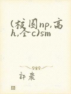 (校园np,高h,全c)sm