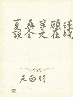 夏桑宁顾瑾琛小说全文在线阅读封面