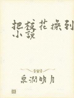 把校花操到高潮小说封面