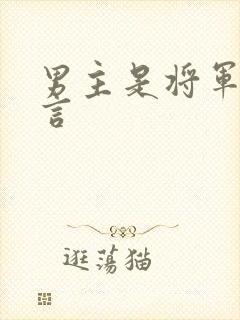 男主是将军的古言