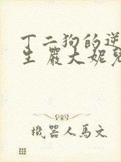 丁二狗的逆袭人生 严大妮儿封面