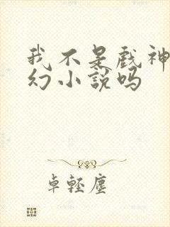 我不是戏神是玄幻小说吗