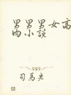 男男男女高h纯肉小说