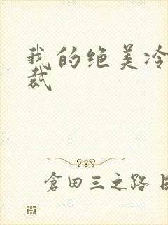 我的绝美冷艳总裁