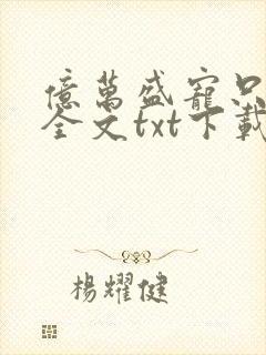 亿万盛宠只为你全文txt下载封面