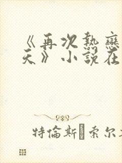 《再次热恋的夏天》小说在线阅读