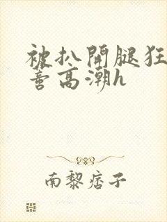 被扒开腿狂揉花蒂高潮h