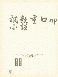 调教重口np文小说