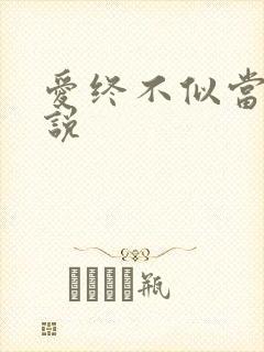 爱终不似当初小说