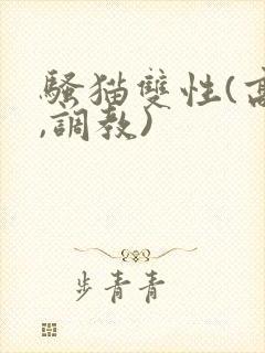 骚猫双性(高h,调教)