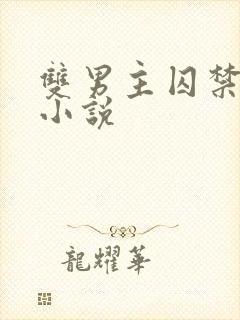 双男主囚禁调教小说