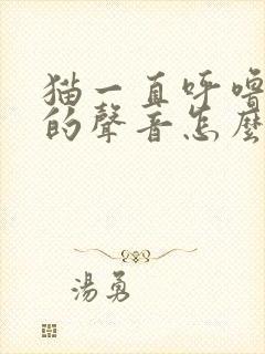 猫一直呼噜呼噜的声音怎么回事