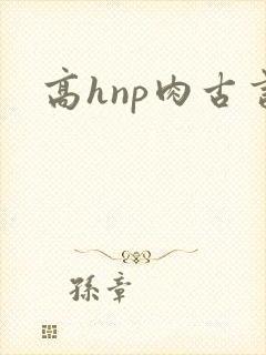 高hnp肉古言