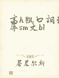 高h粗口调教羞辱sm文bl