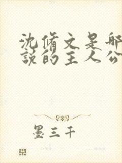 沈修文是哪部小说的主人公