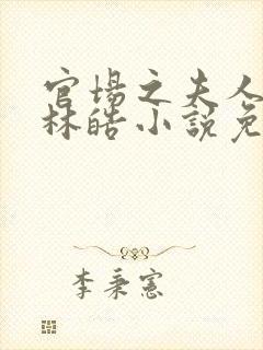 官场之夫人路线林皓小说免费阅读