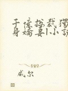 千亿总裁独宠替身娇妻l小说