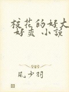 校花的好大的奶 好爽 小说