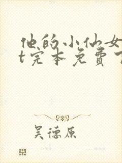 他的小仙女txt完本免费下载