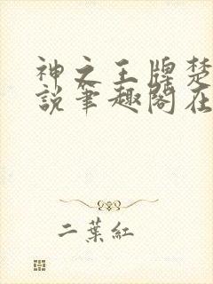 神之王牌楚尘小说笔趣阁在线阅读