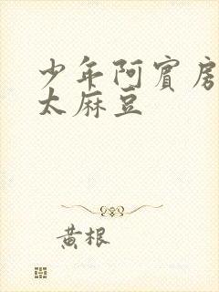 少年阿宾房东太太麻豆