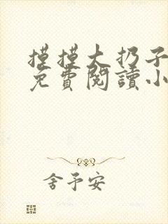 摸摸大扔子小说免费阅读小说