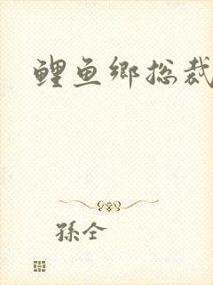 鲤鱼乡总裁双性封面