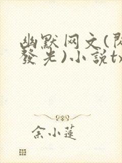 幽默网文(闪闪发光)小说txt下载封面