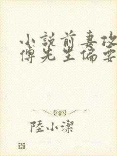 小说前妻攻略:傅先生偏要宠我大结局