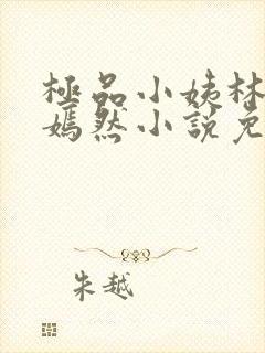 极品小姨林凡李嫣然小说免费阅读全文