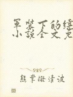 军装下的绕指柔小说全文免费阅读