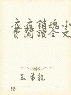 夜夜销魂小说免费阅读全文