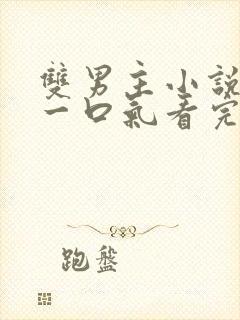 双男主小说完结一口气看完一更到底