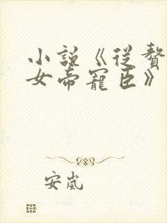 小说《从赘婿到女帝宠臣》封面