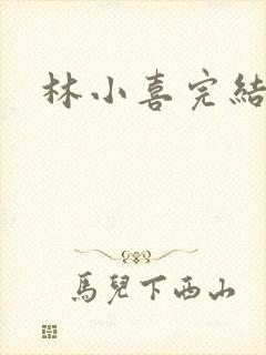 林小喜完结小说封面