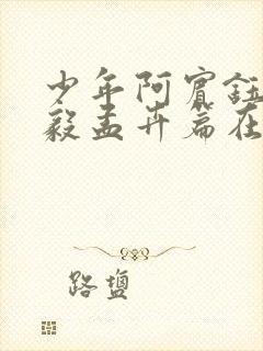 少年阿宾钰慧小毅孟卉篇在线阅读封面