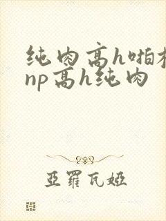 纯肉高h啪校园np高h纯肉